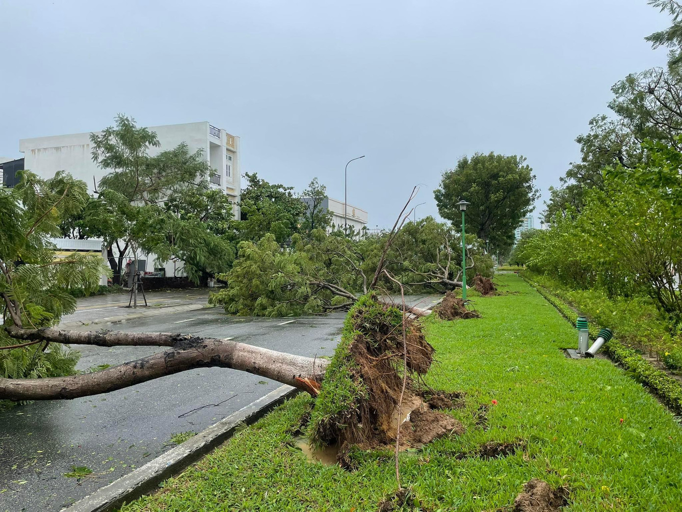 Ảnh: Thành Đạt