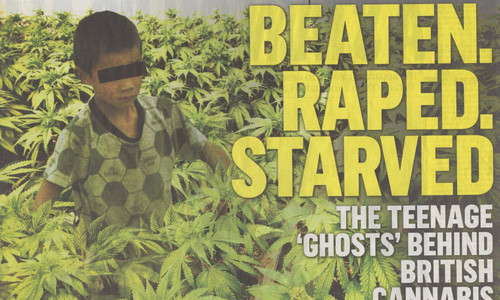 Hình minh họa bài báo viết về những nạn nhân bị bọn buôn người bắt sang Anh làm nô lệ trong các trang trại trồng cần sa - Ảnh: The Sunday Times. Hình minh họa bài báo viết về những nạn nhân bị bọn buôn người bắt sang Anh làm nô lệ trong các trang trại trồng cần sa - Ảnh: The Sunday Times