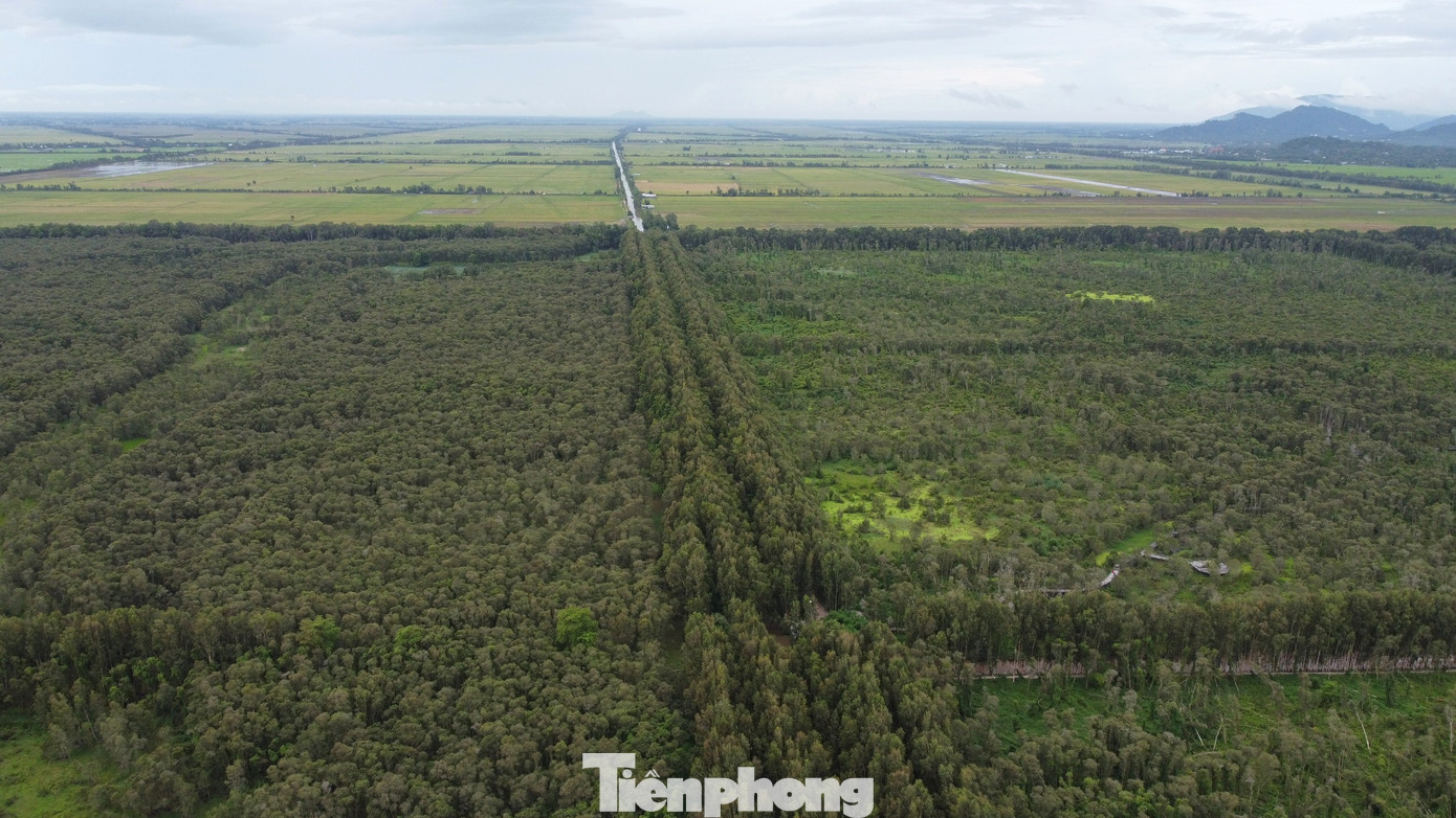 Với diện tích khoảng 850ha, rừng tràm Trà Sư có một hệ sinh thái phong phú, mảng tràm phủ xanh kín trải dài đến tận chân trời. Đây sẽ là một điểm đến lý tưởng cho những người yêu thiên nhiên, muốn khám phá hệ sinh thái đa dạng.