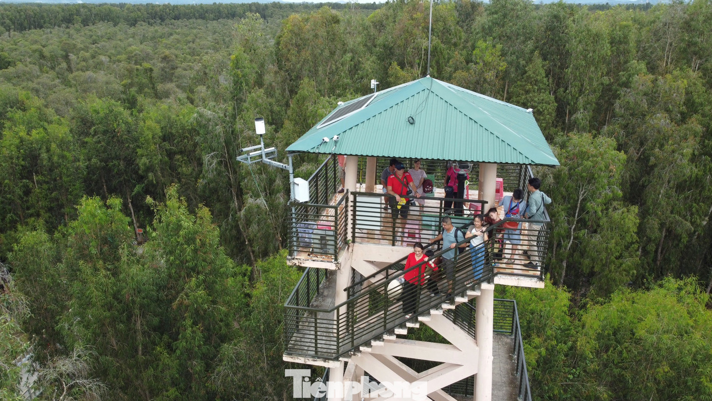 Sâu trong rừng tràm có một ngọn tháp cao được xây dựng để du khách dễ dàng ngắm toàn cảnh từ trên cao. Ở đây có kính viễn vọng (tầm nhìn đạt 25 km) giúp du khách ngắm cảnh bạt ngàn của rừng tràm, màu xanh trải dài hút mắt.