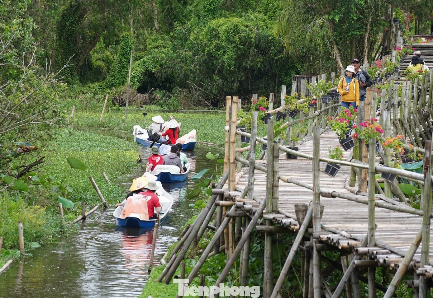 Những ngày nghỉ lễ 2/9, rừng tràm Trà Sư thu hút đông đảo du khách khắp nới về tham quan, du lịch.