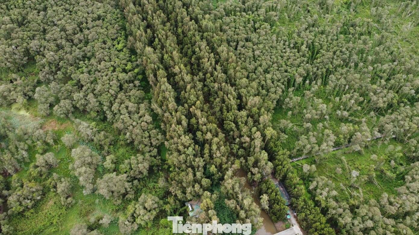 Rừng ràm Trà Sư đẹp nhất chính là vào mùa nước nổi, tương ứng với khoảng thời gian từ tháng 9 đến tháng 11.