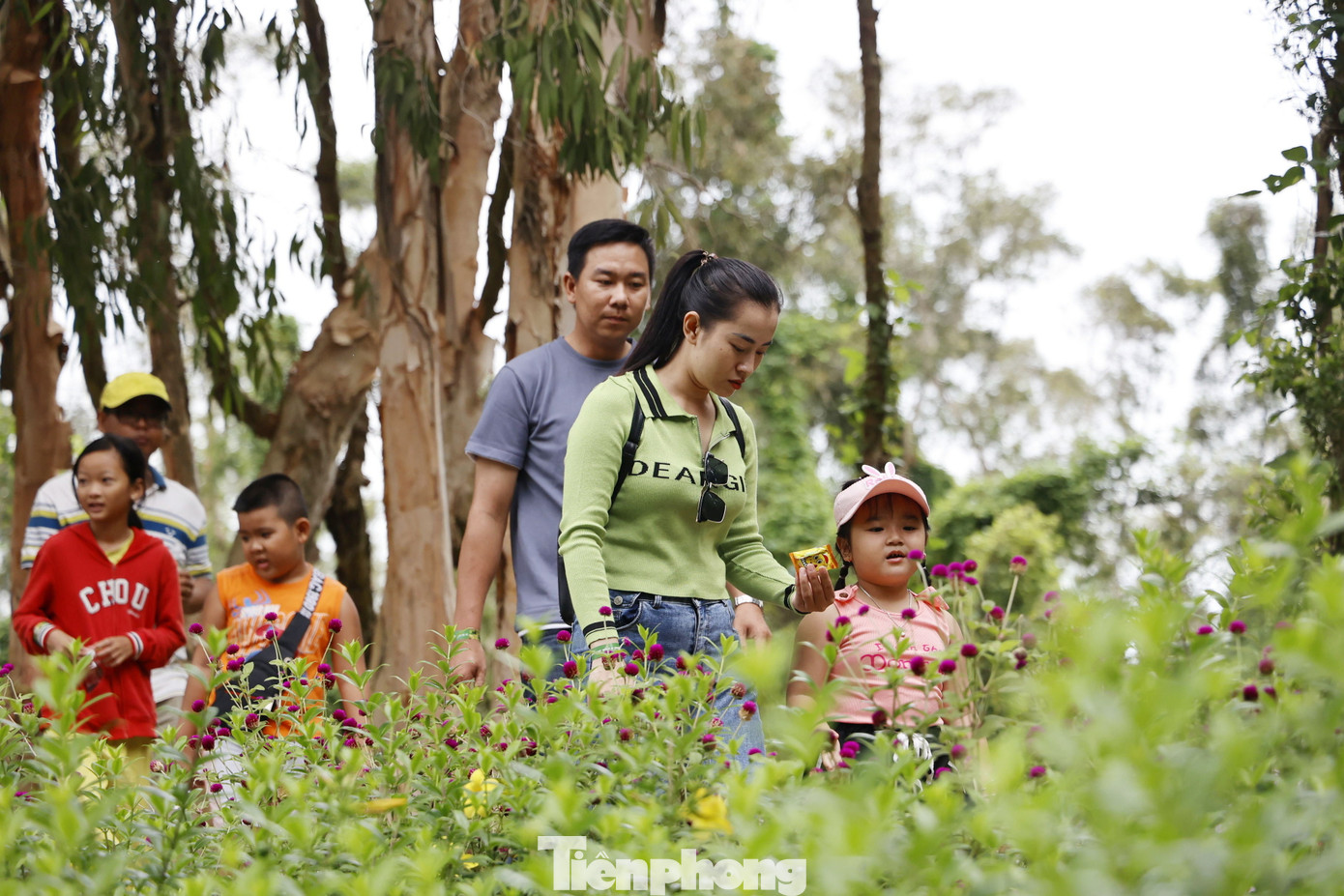 Nhiều gia đình cho con em đi tham quan rừng tràm dịp nghỉ lễ.
