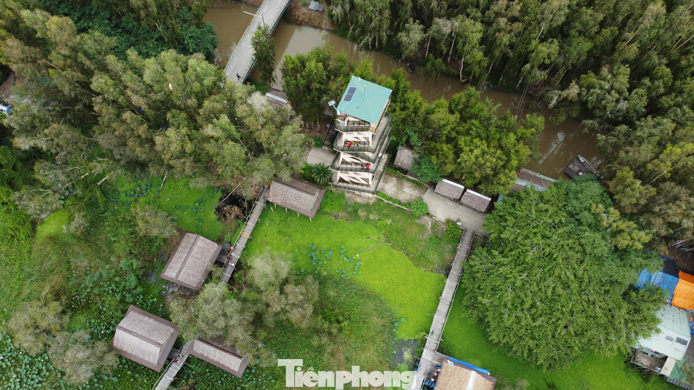 Được biết, rừng tràm Trà Sư đã được sử dụng làm phim trường của bộ phim "Đất phương Nam" bản điện ảnh.