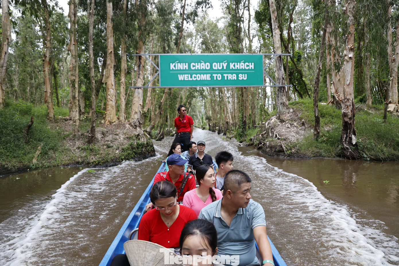 Tổng diện tích rừng lên tới 850ha, là mô hình hệ sinh thái điển hình vùng nước phía Tây sông Hậu. Anh Quang Vinh - du khách từ Hà Nội, lần đầu tiên đến rừng tràm Trà Sư vui vẻ kể lại giây phút bắt gặp những đàn chim vỗ cánh bay lên giữa đồng nước mênh mông, hay chứng kiến ngọn tràm có nhiều loài chim đang đậu.