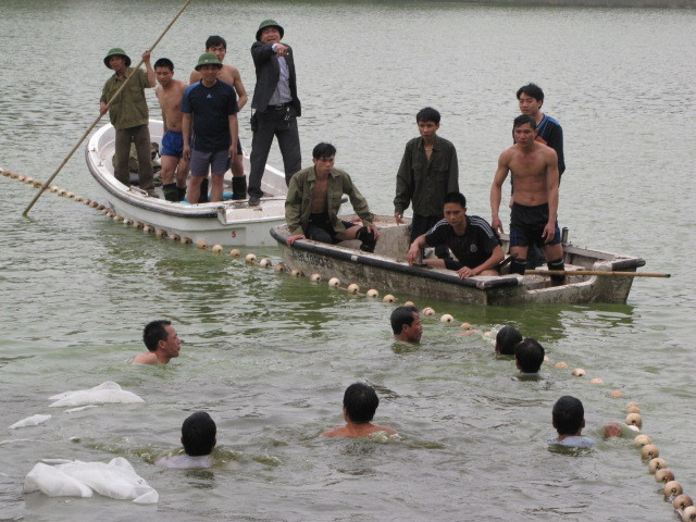 Cụ rùa thoát ra khỏi vòng lưới nhỏ khiến lực lượng vây bắt hoảng hốt