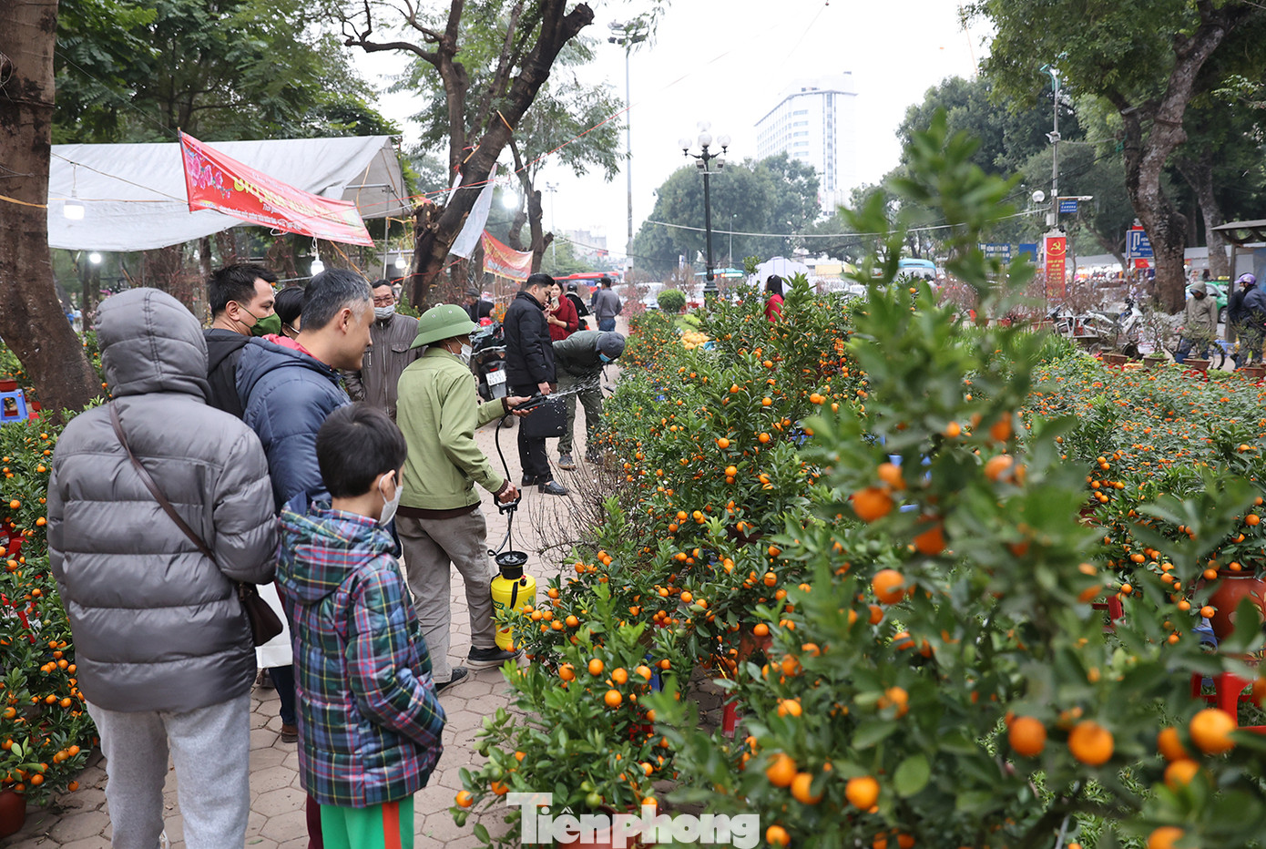 Chợ hoa thu hút người dân Thủ đô tới sắm Tết cũng như dạo phố đi bộ.