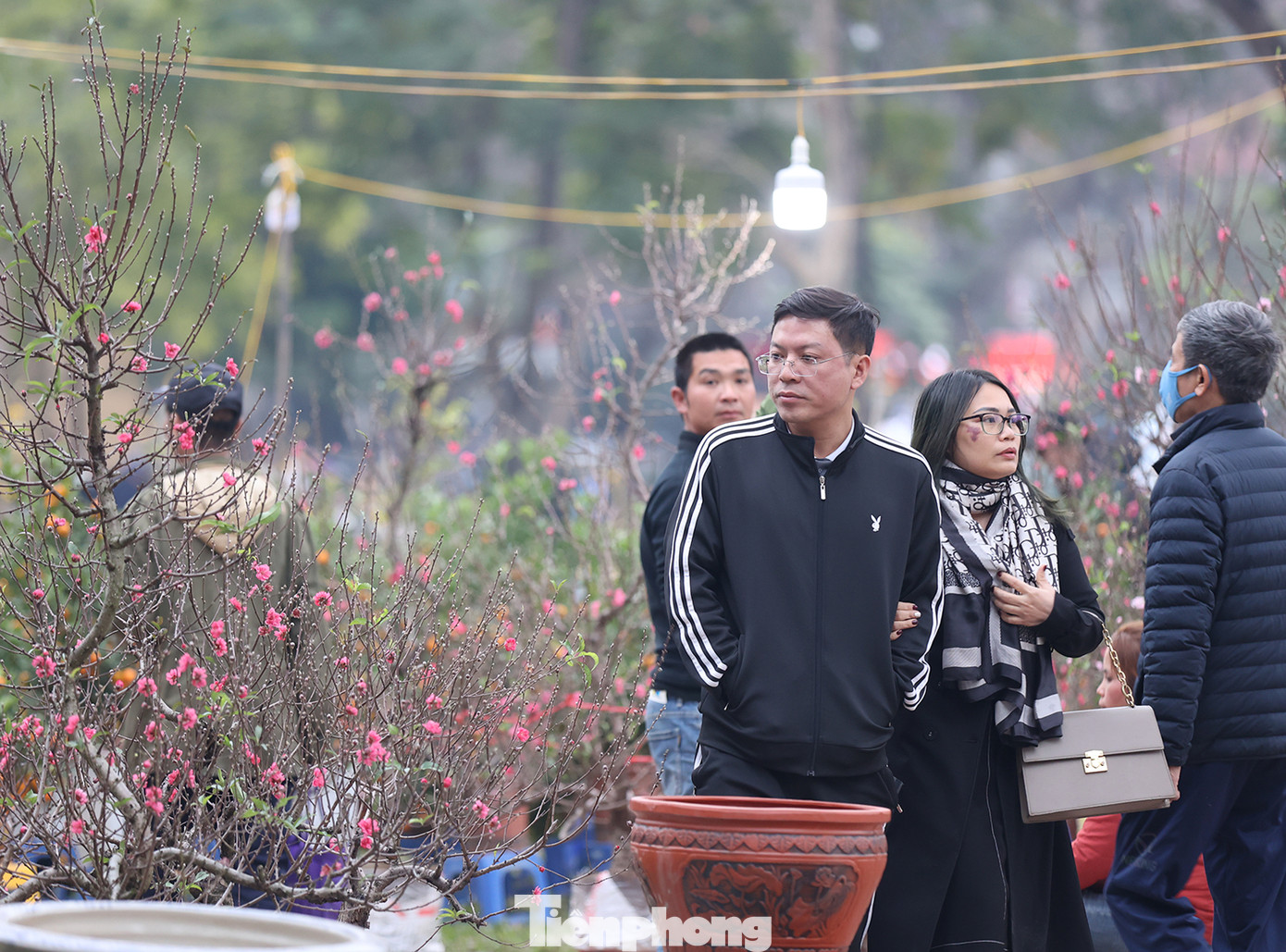 Chợ có hơn 20 gian hàng bày bán các loại hoa, cây cảnh… phục vụ người dân mua sắm tết.