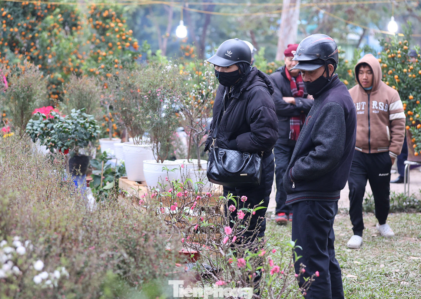 Nhiều người dân Hà Nội có thói quen đi dạo vừa thưởng thức vừa tìm kiếm cành hoa, chậu cây ưng ý để trưng bày trong không gian ngôi nhà của mình trong những ngày Tết.