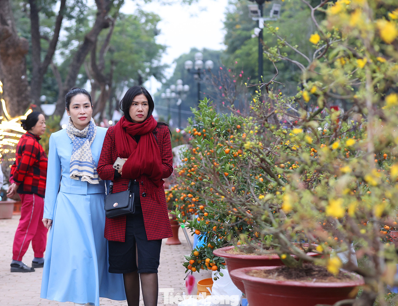 Chợ hoa xuân tại khu vực Công viên Thống Nhất là năm đầu tiên được tổ chức.