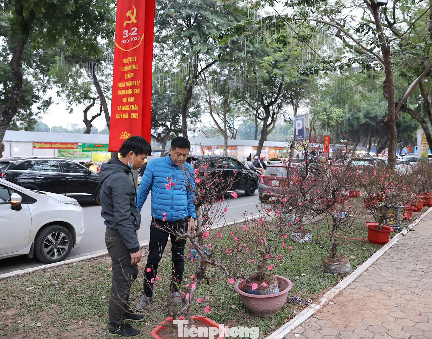 Cây đào thế được một vị khách mua với giá gần 2 triệu đồng.