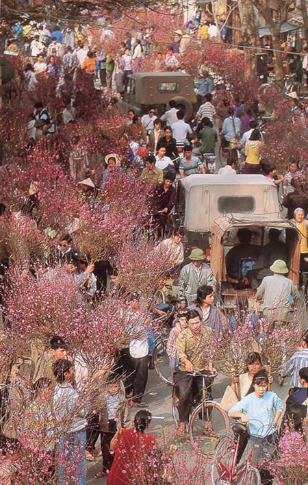  Chợ hoa Tết rực rỡ sắc hoa đào