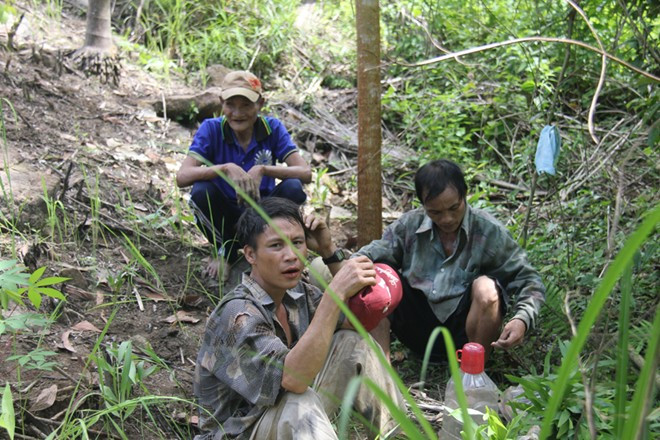 Sau khi được hướng dẫn, cha con ông Thanh trồng khá thành thạo