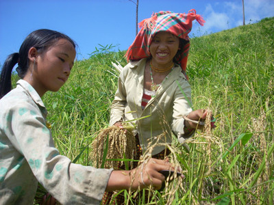Các bé gái phải lao động sớm. Các bé gái phải lao động sớm