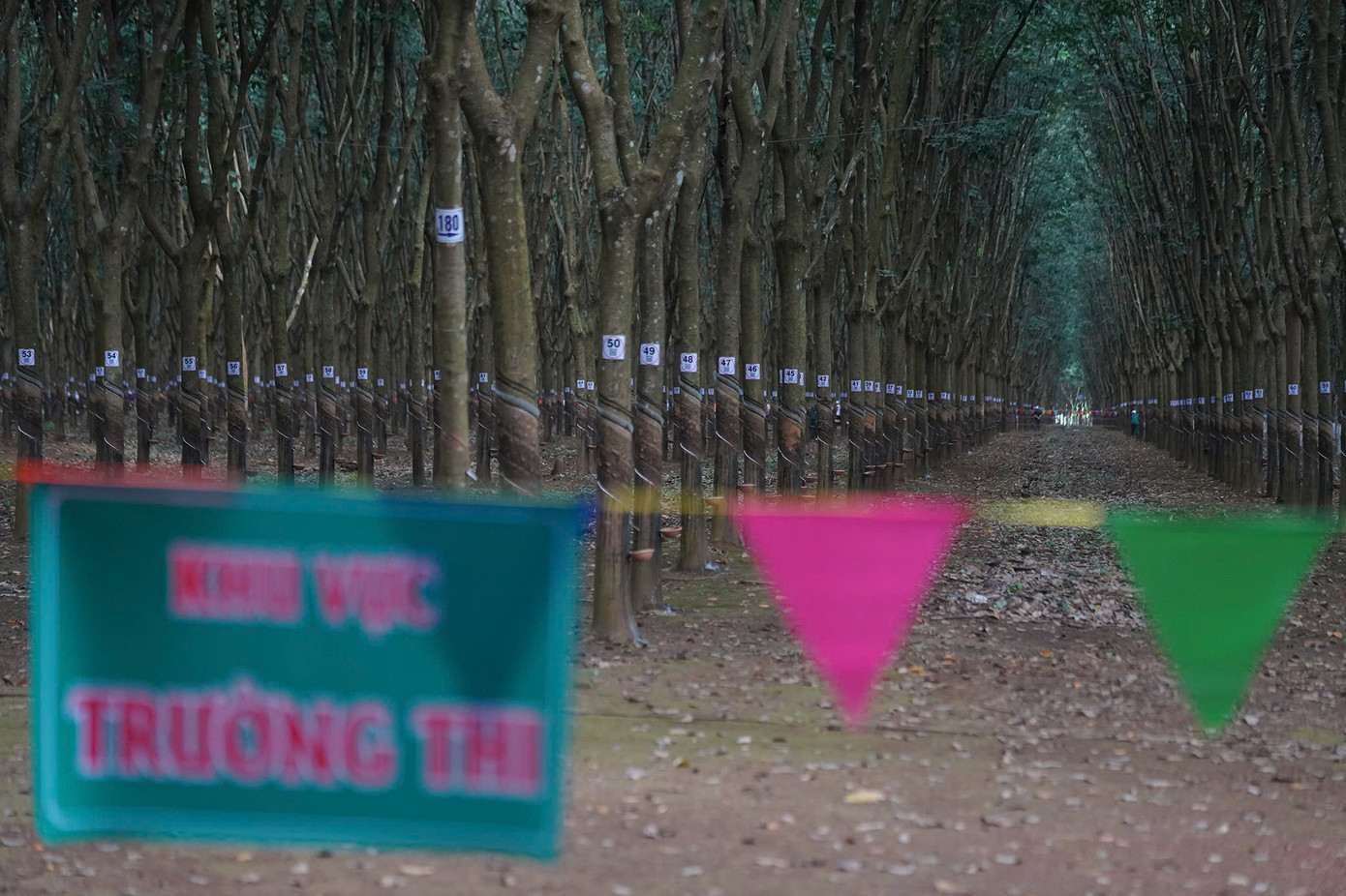 Khu vực trường thi &quot;độc nhất vô nhị&quot; (ảnh: Phạm Nguyễn)