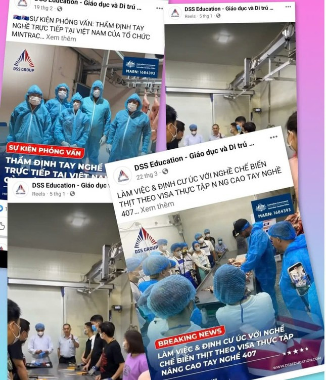 Dù giấy chứng nhận đăng ký kinh doanh là tư vấn du học nhưng hầu hết các quảng cáo của DSS đều tuyển lao động để đi làm việc, định cư ở nước ngoài Dù giấy chứng nhận đăng ký kinh doanh là tư vấn du học nhưng hầu hết các quảng cáo của DSS đều tuyển lao động để đi làm việc, định cư ở nước ngoài