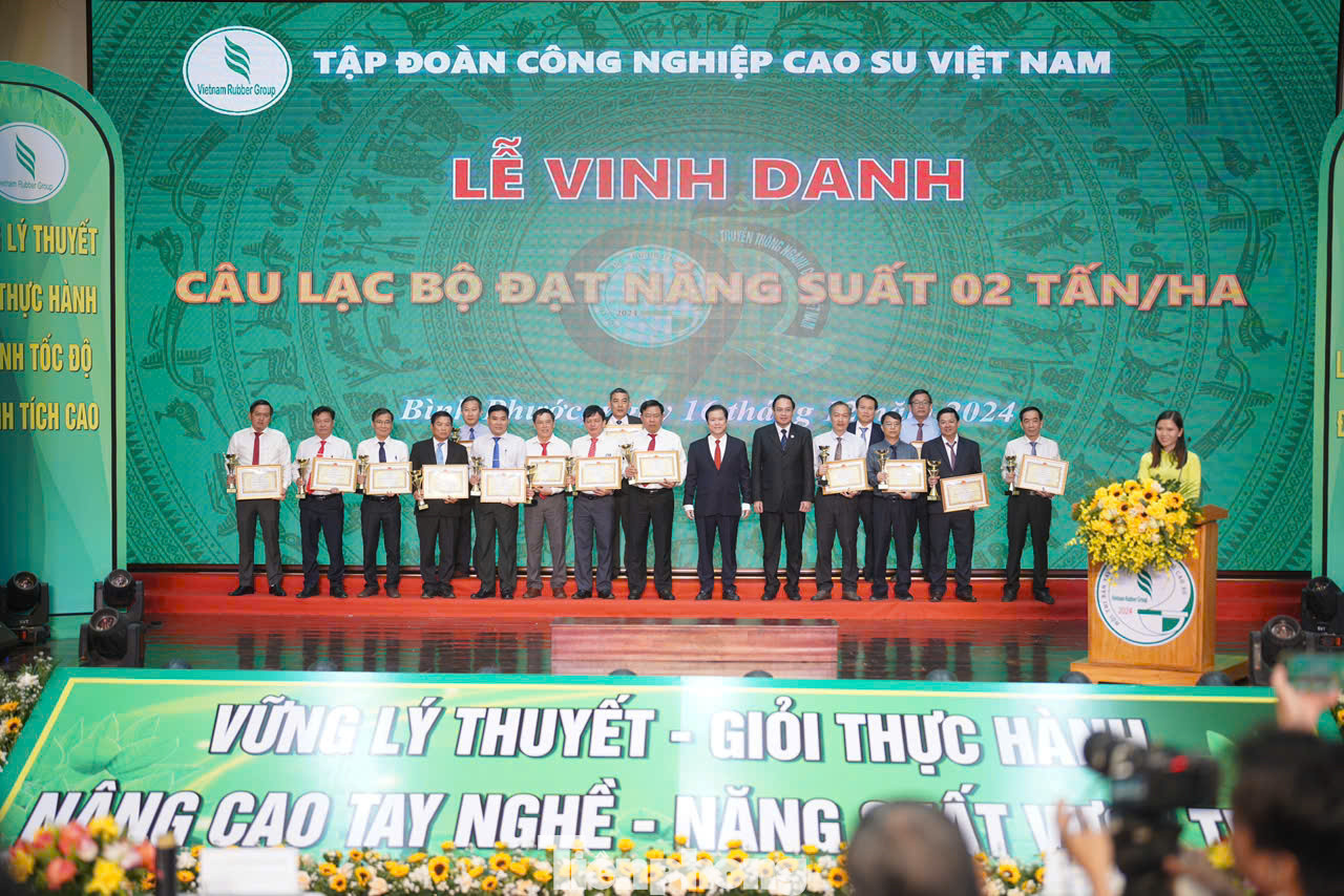 Các doanh nghiệp được VRG vinh danh đạt năng suất 2 tấn/ha năm 2024