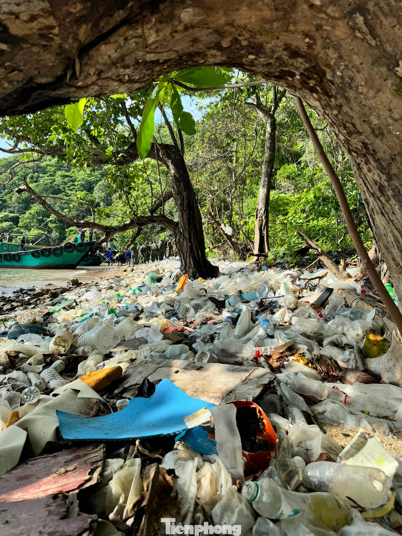 Rác thải bị dạt vào bờ, xếp thành lớp ở Vườn quốc gia Côn Đảo.