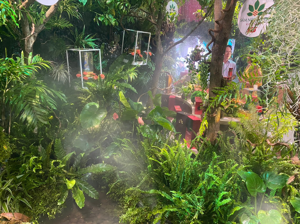 Đến với Sâm, hương liệu, dược liệu quốc tế TPHCM 2024 lần này, ngoài việc để người dân được chiêm ngưỡng vẻ đẹp của rừng thiên nhiên, cũng là cơ hội để giới thiệu đến bạn bè quốc tế biết đến vẻ đẹp của rừng Việt Nam, biết đến loài sâm tốt.