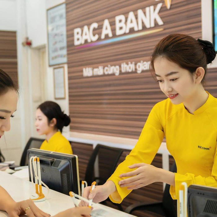Đến thời điểm hiện tại, vốn điều lệ của Bac A Bank đạt hơn 8.959 tỷ đồng, tăng thêm 2.459 tỷ đồng.