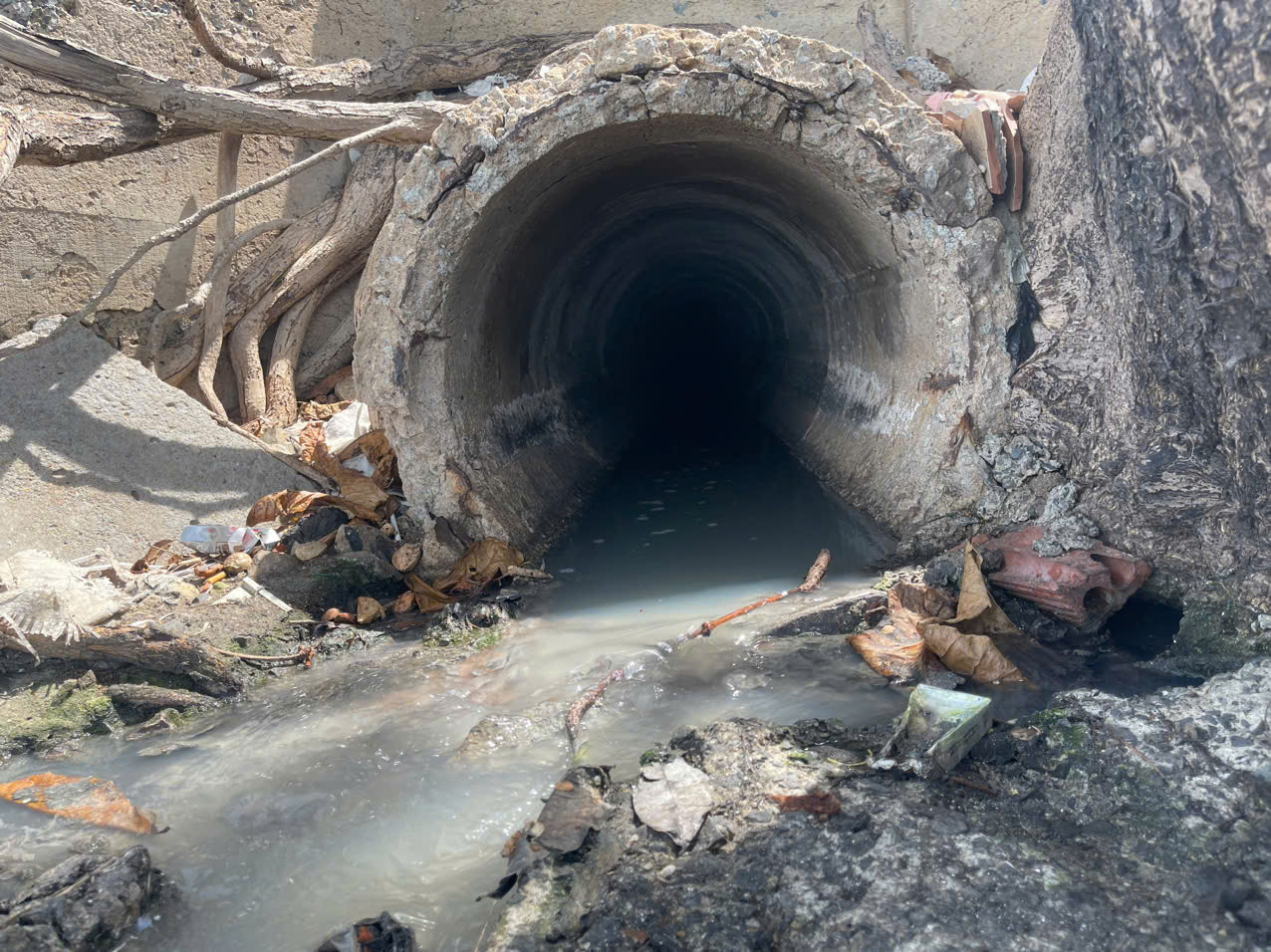 Cống thoát nước phía đối diện hẻm 34 Trần Phú (phường 1, TP. Vũng Tàu) có nước thải màu đen, mùi khó chịu được xả thẳng ra biển.