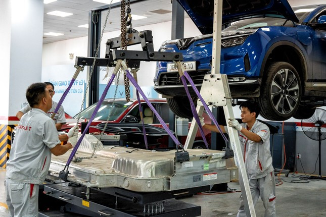 Việt Nam có thể phát triển và tiến bộ như các con hổ kinh tế trước đây như Hàn Quốc và Đài Loan (Trung Quốc).