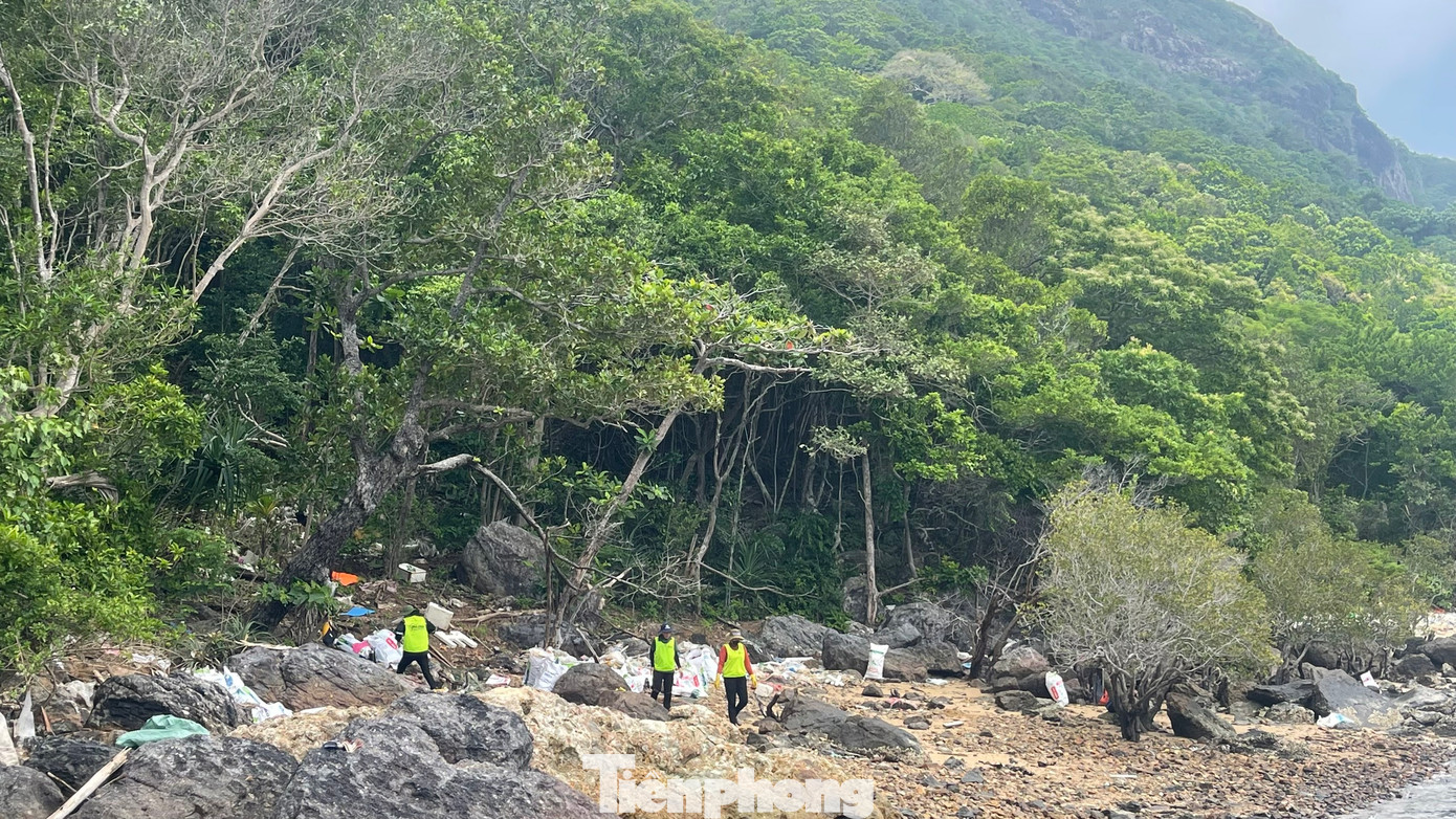 Do đó, Vườn quốc gia Côn Đảo cũng tổ chức rác thải đại dương tấp vào các bãi cát, rừng ngập mặn.