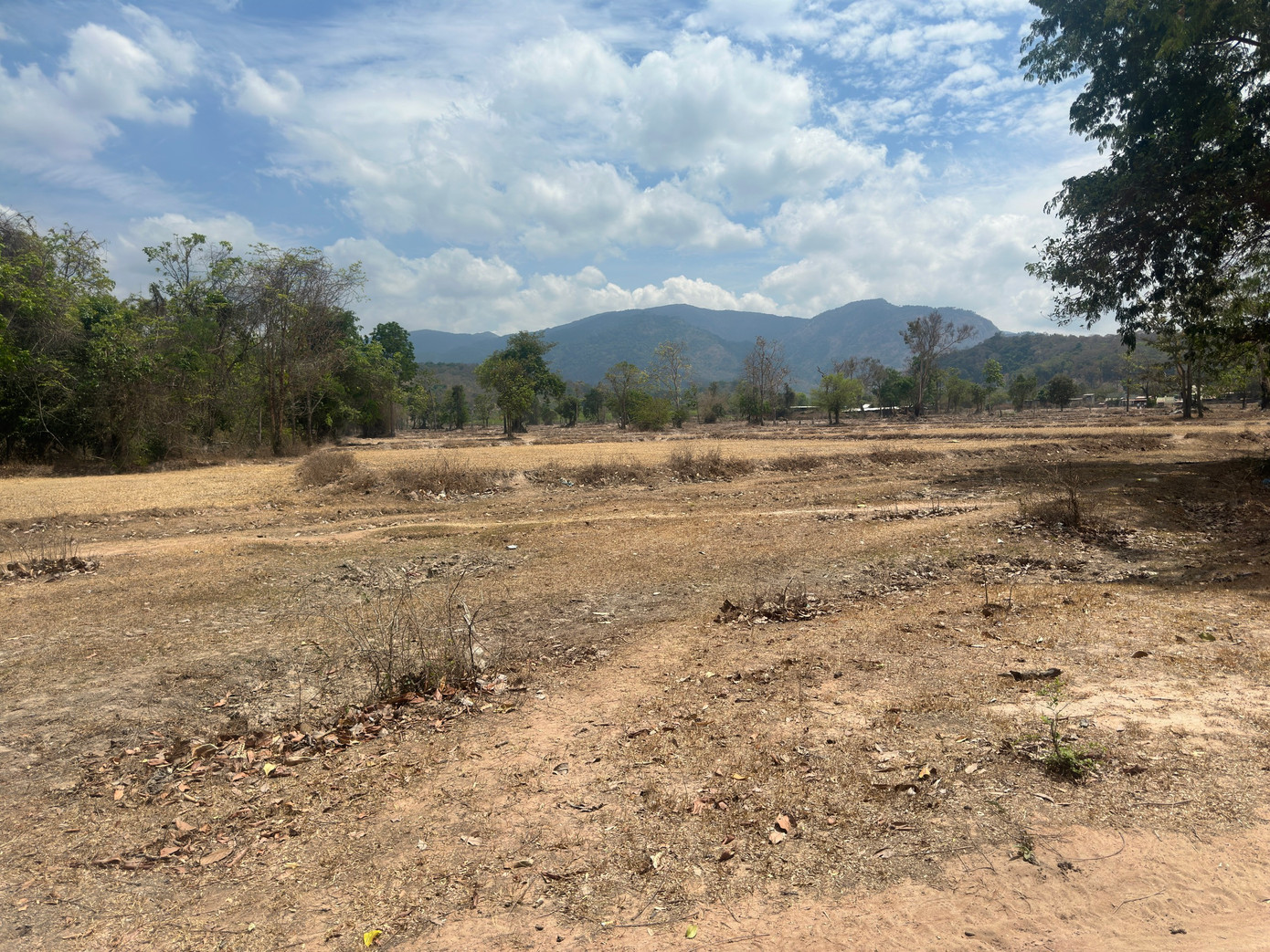 Tỉnh Bình Thuận hiện có đến 35 xã bị thiếu hụt lượng mưa và nguồn nước từ 3-6 tháng và theo cấp độ rủi ro thiên tai bị xếp từ cấp 3 đến cấp 4.