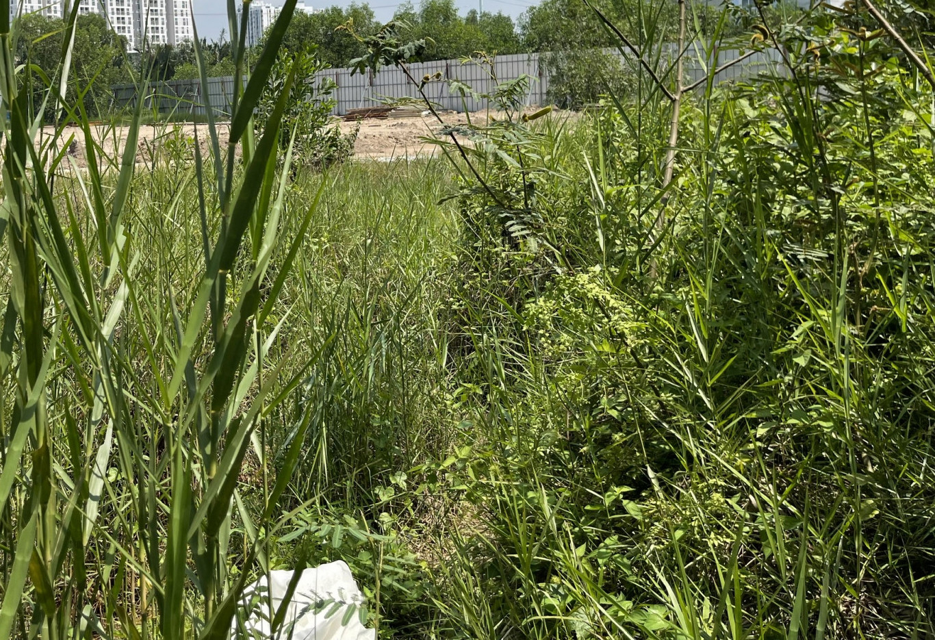 Vị trí khu đất đề nghị chuyển mục đích sử dụng đất phải phù hợp về quy hoạch. Vị trí khu đất đề nghị chuyển mục đích sử dụng đất phải phù hợp về quy hoạch.