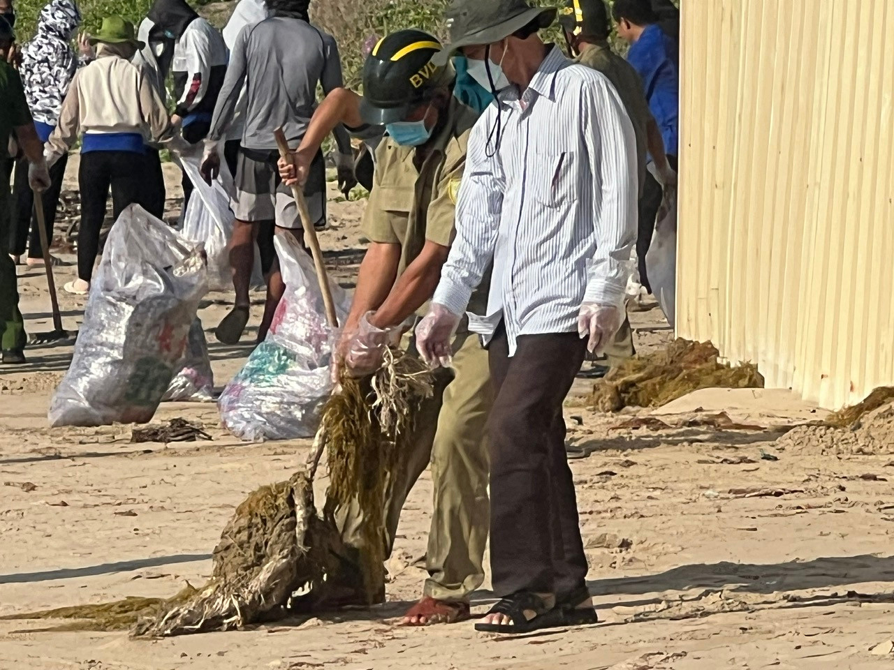 TP. Phan Thiết huy động nhiều lực lượng đi gom dầu vón cục trôi vào bờ biển Mũi Né. TP. Phan Thiết huy động nhiều lực lượng đi gom dầu vón cục trôi vào bờ biển Mũi Né.