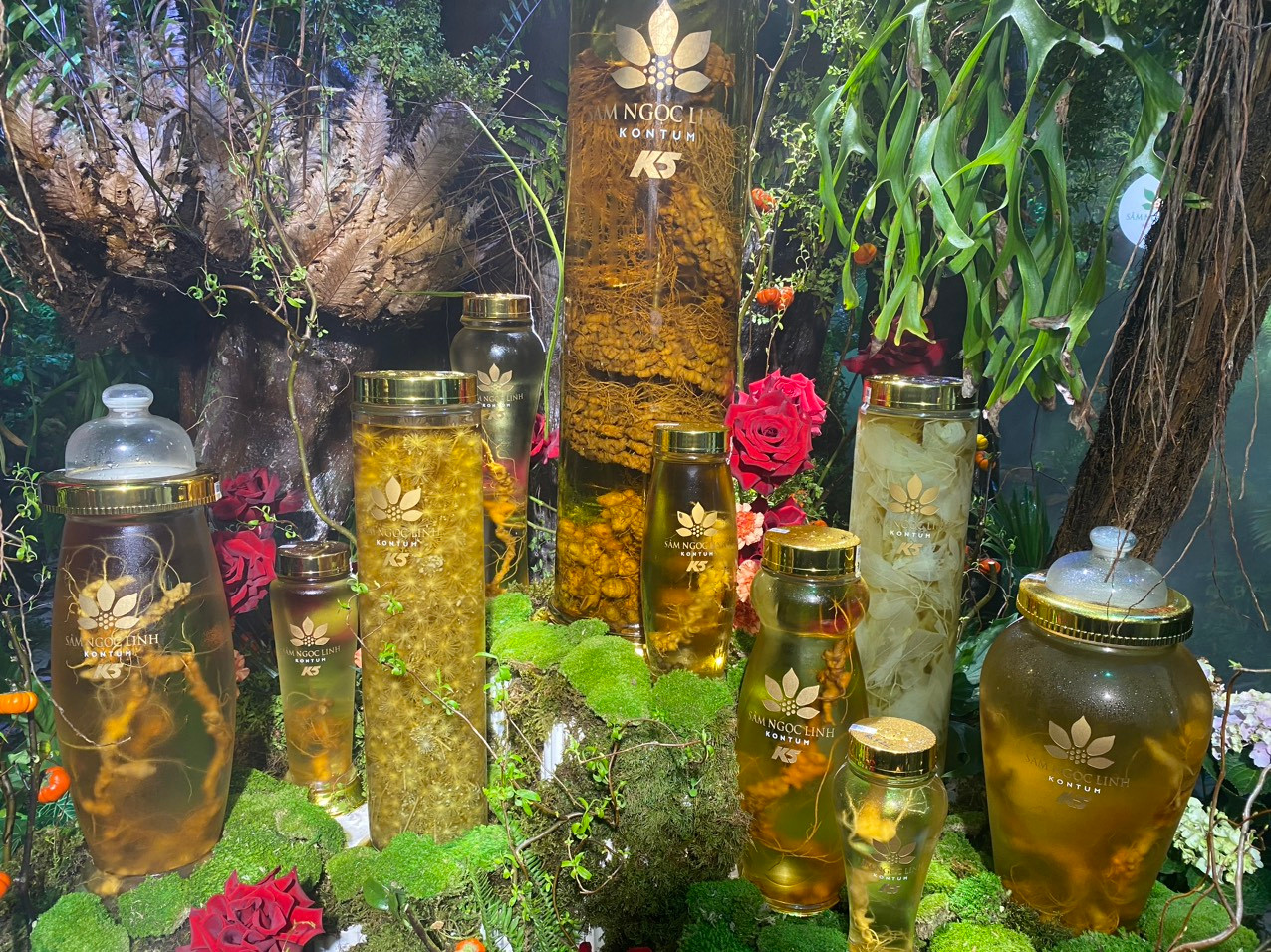 Du khách có thể thưởng lãm các chế phẩm từ sâm K5 vừa được khai thác từ vườn Ngọc Linh trên núi cao ngay giữa lòng TPHCM.