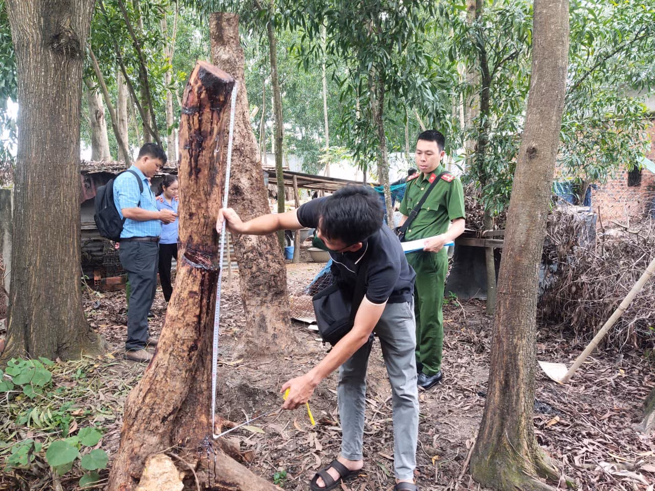 Tang vật tại hiện trường. Tang vật tại hiện trường.