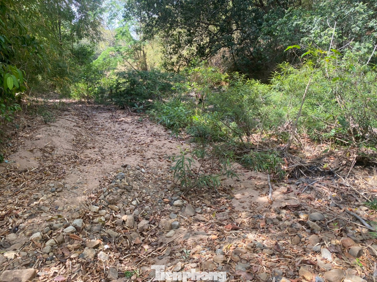 Dấu tích dòng nước chảy xiết, dâng cao còn sót lại ở khu vực thực hiện dự án hồ chứa nước Ka Pét. Dấu tích dòng nước chảy xiết, dâng cao còn sót lại ở khu vực thực hiện dự án hồ chứa nước Ka Pét.