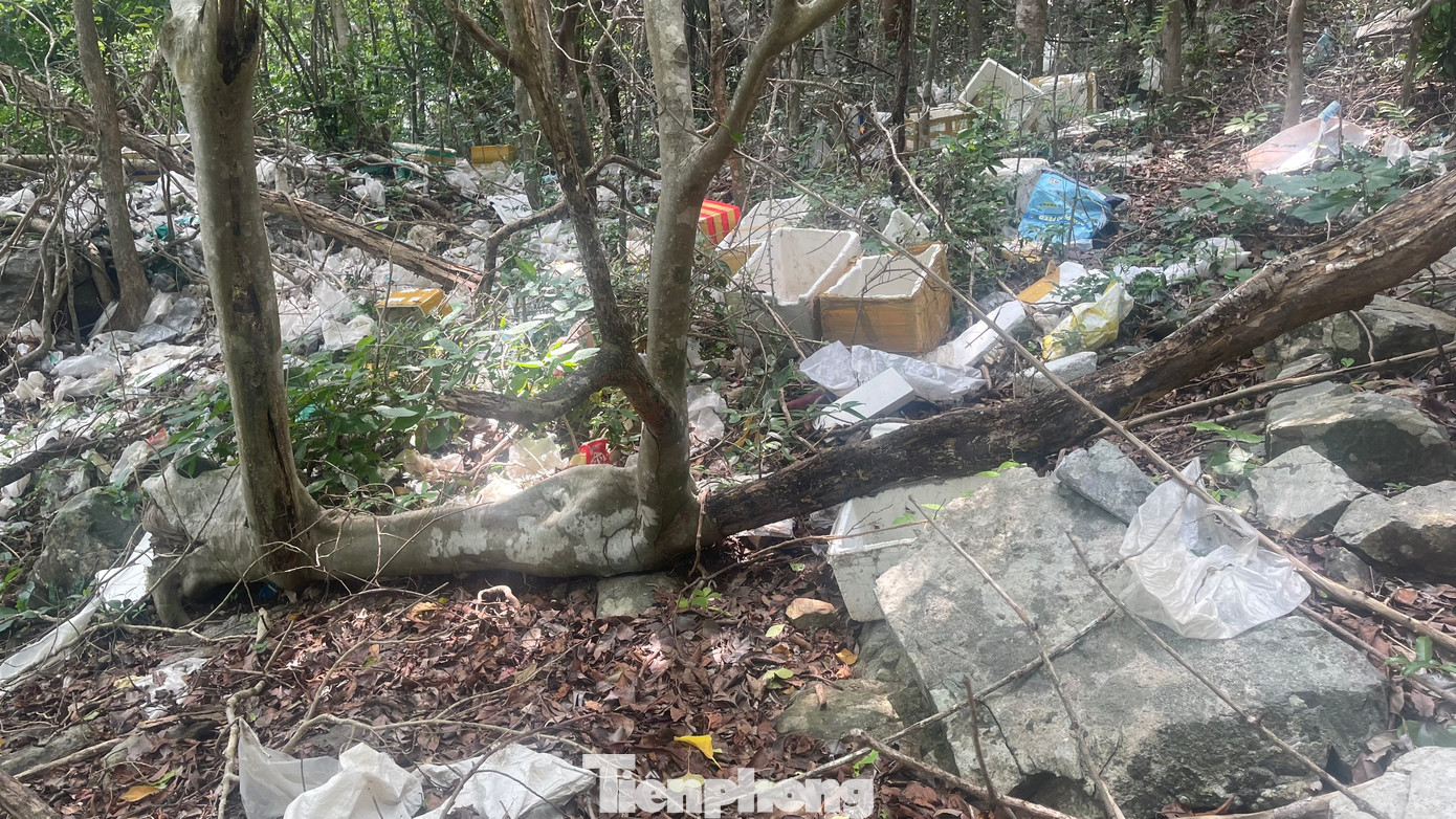 Vườn quốc gia Côn Đảo cho biết, việc gom rác trên bờ là để tránh cho rác thải trôi ra đại dương và bị chìm xuống biển.