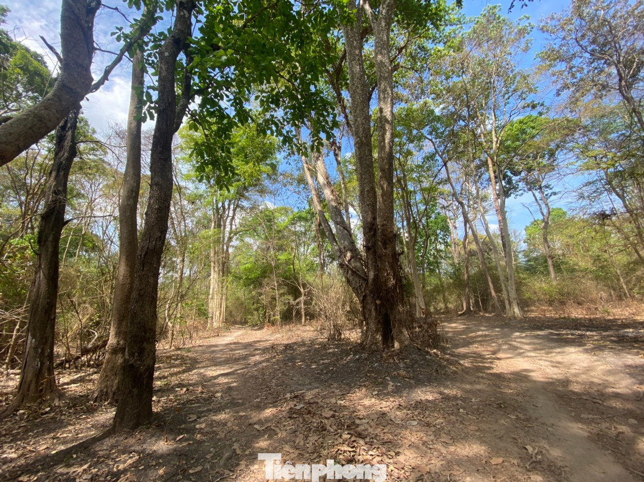 Vào mùa khô, khu vực dự án hồ chứa nước Ka Pét là một vùng đất khô cằn. Vào mùa khô, khu vực dự án hồ chứa nước Ka Pét là một vùng đất khô cằn.