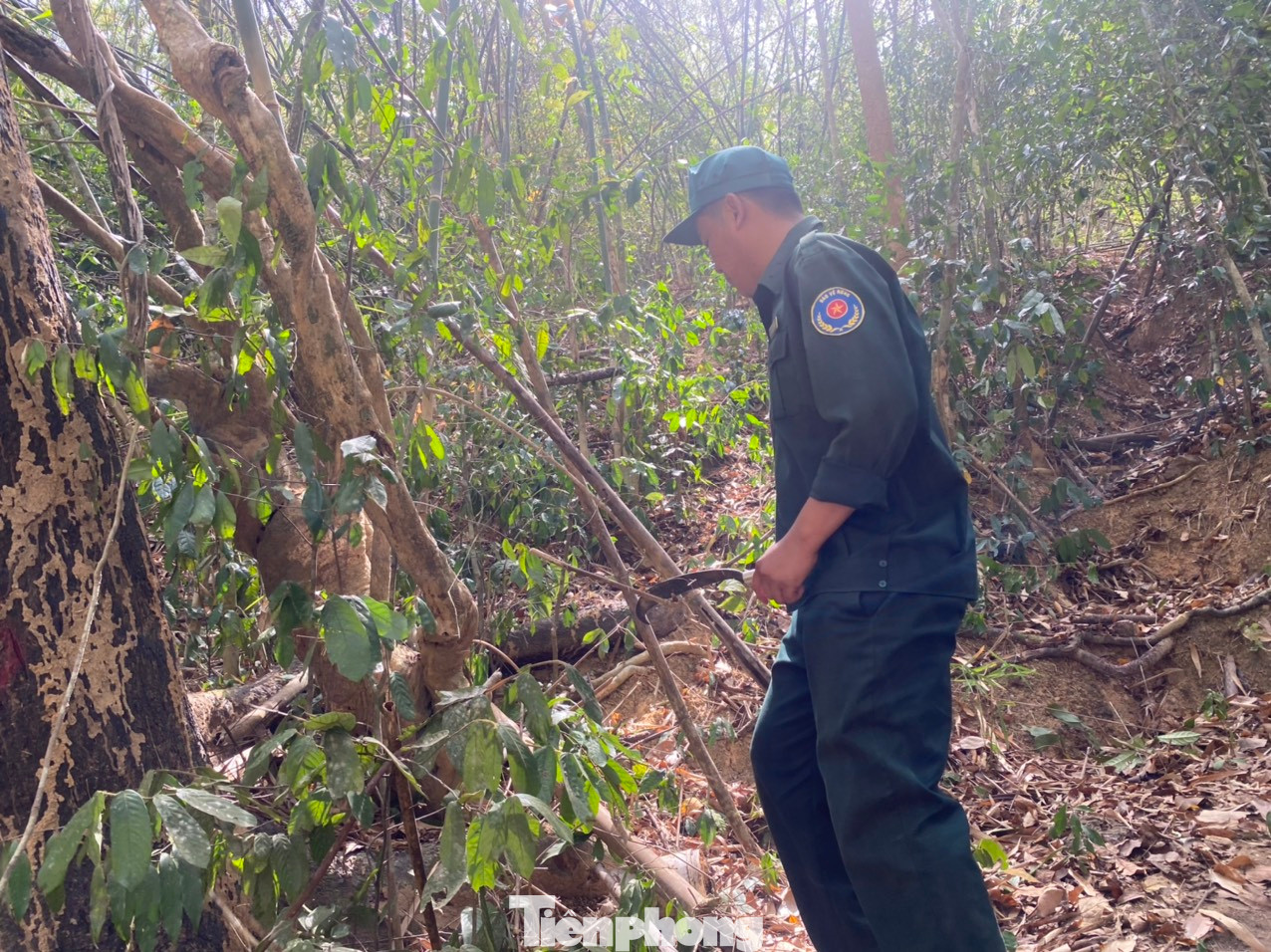 Nhân viên Ban quản lý rừng phòng hộ Sông Móng Ka Pét phải liên tục đi tuần ngày đêm, phát cỏ dại để đề phòng cháy rừng. Nhân viên Ban quản lý rừng phòng hộ Sông Móng Ka Pét phải liên tục đi tuần ngày đêm, phát cỏ dại để đề phòng cháy rừng.