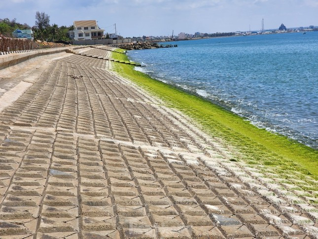 Bình Thuận sẽ đầu tư dự án kè chống xâm thực, bảo vệ bờ biển phía Bắc đảo Phú Quý trị giá 300 tỷ đồng. Bình Thuận sẽ đầu tư dự án kè chống xâm thực, bảo vệ bờ biển phía Bắc đảo Phú Quý trị giá 300 tỷ đồng.