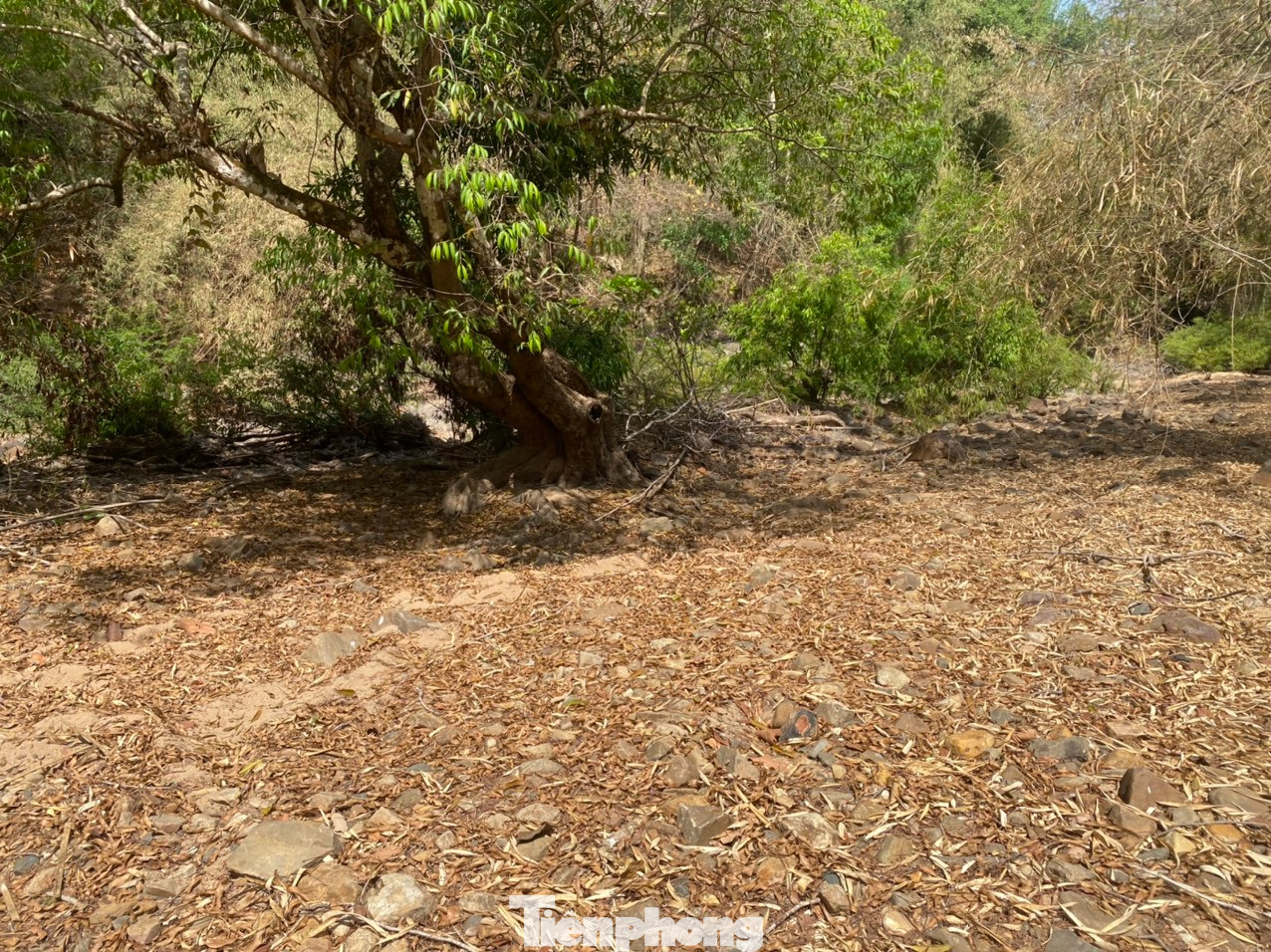 Con sông trơ đáy, ánh nắng gay gắt khiến ai cũng có cảm giác ngột ngạt. Con sông trơ đáy, ánh nắng gay gắt khiến ai cũng có cảm giác ngột ngạt.