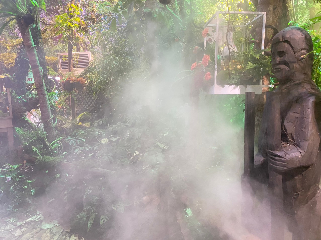 Khung cảnh mờ ảo, tái hiện rừng Sâm Ngọc Linh K5 dưới tán rừng tự nhiên.