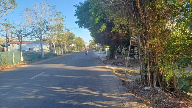 Đường vào nhà ông Huỳnh Phú Tân ở Bạc Liêu. Ảnh: Tân Lộc.