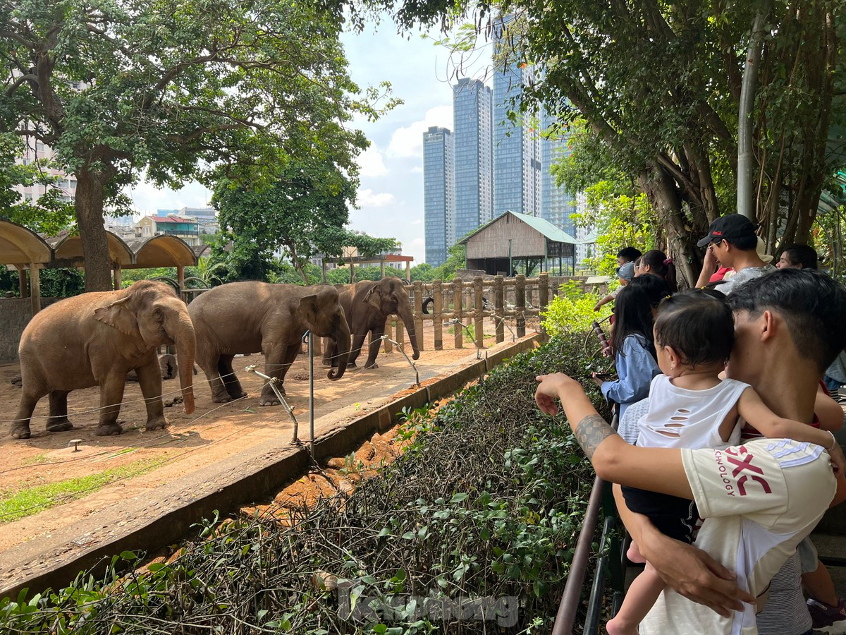 Thảo cầm viên Sài Gòn là điểm đến tham quan, vui chơi quen thuộc của rất nhiều người dân ở TPHCM và các địa phương mỗi dịp lễ, Tết. Ảnh: Uyên Phương.
