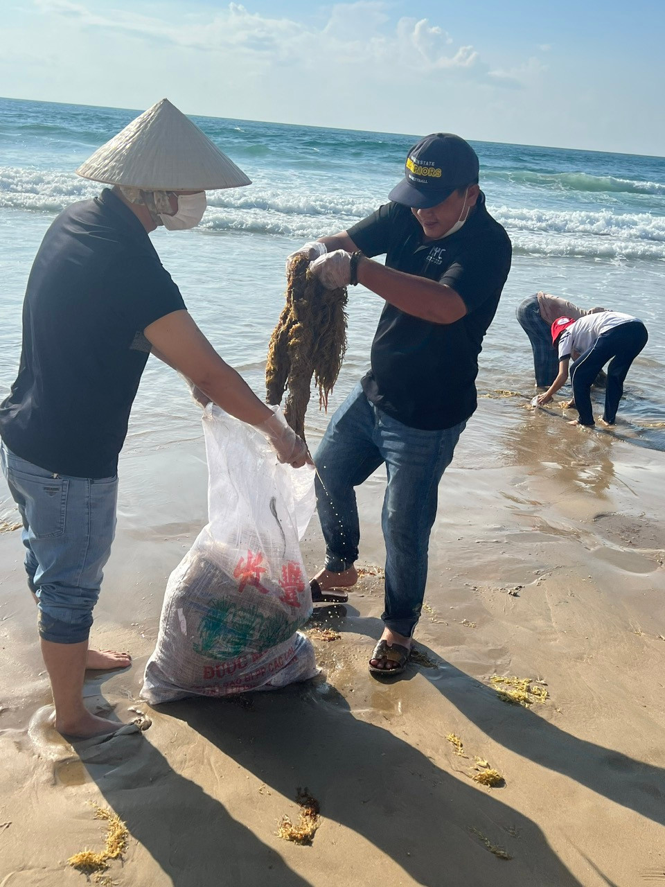 Thu gom dầu vón cục trôi, rác thải trôi vào bờ biển Mũi Né. Thu gom dầu vón cục trôi, rác thải trôi vào bờ biển Mũi Né.