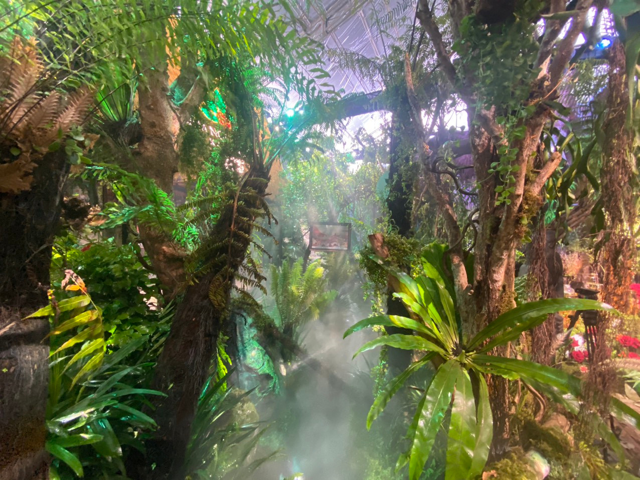 Du khách tham quan có cơ hội khám phá một phần vẻ đẹp hùng vĩ và hoang sơ của rừng già, đồng thời hiểu thêm về cây sâm quý hiếm của Việt Nam cũng như quy trình bảo vệ và phát triển loài dược liệu quý này giữa núi rừng Ngọc Linh.