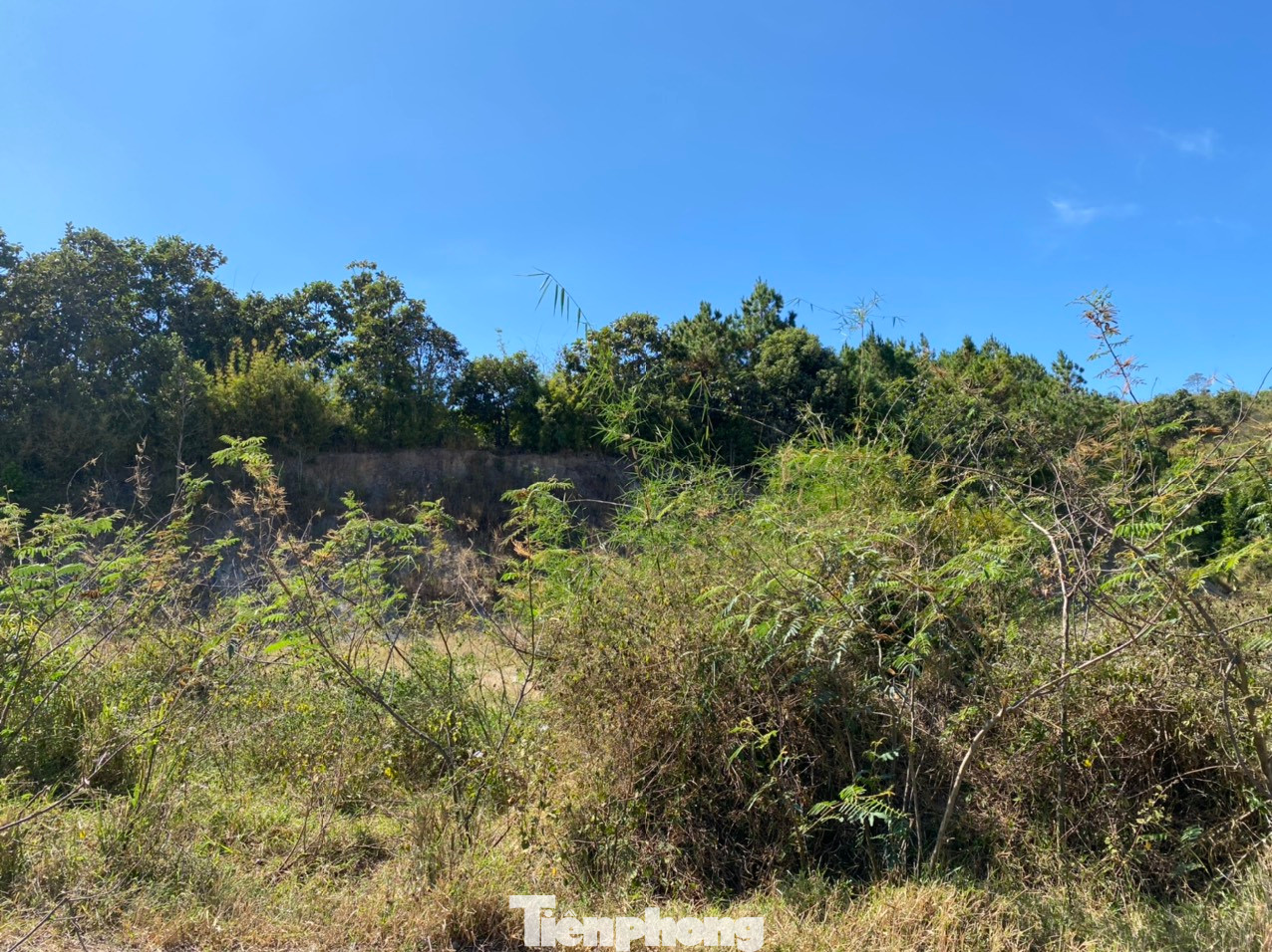 Càng chạy sâu vào bên trong dự án Khu đô thị thương mại du lịch nghỉ dưỡng sinh thái Đại Ninh, cảnh hoang hoá càng rõ nét.