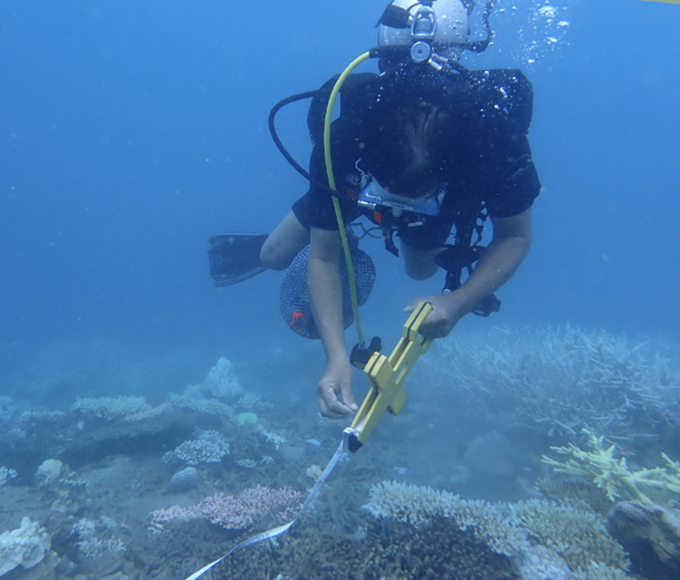 Ban Quản lý Vườn quốc gia Côn Đảo sẽ có biện pháp hạn chế các hoạt động khai thác thủy sản, dịch vụ du lịch bơi lội, lặn ngắm. Ban Quản lý Vườn quốc gia Côn Đảo sẽ có biện pháp hạn chế các hoạt động khai thác thủy sản, dịch vụ du lịch bơi lội, lặn ngắm.