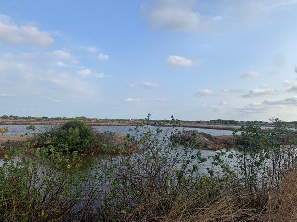 Khu đất mà bà P, bà L. cam kết chuyển nhượng cho bà Loan.