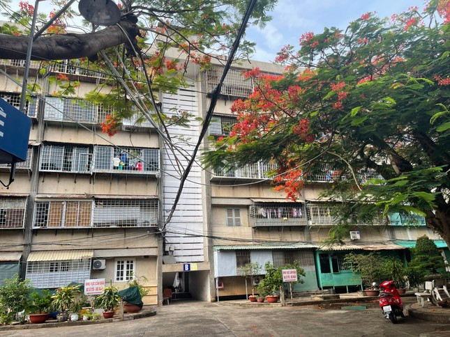 Bên trong khu nhà tập thể số 284 đường Nguyễn An Ninh, phường 7, TP Vũng Tàu, tỉnh Bà Rịa - Vũng Tàu. Bên trong khu nhà tập thể số 284 đường Nguyễn An Ninh, phường 7, TP Vũng Tàu, tỉnh Bà Rịa - Vũng Tàu.