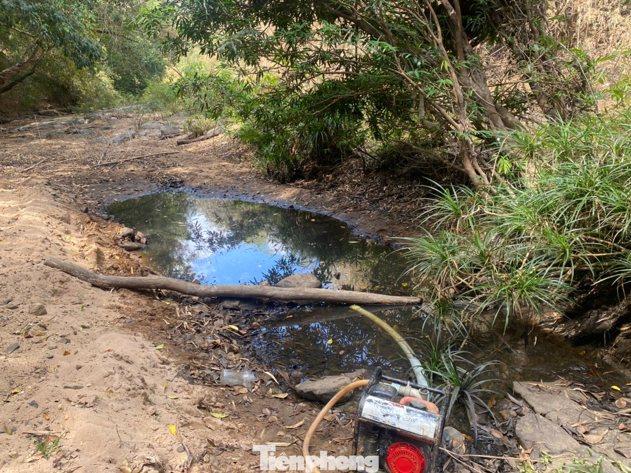 Một điểm hiếm hoi ở con sông Bà Bích - lòng hồ dự án hồ chứa nước Ka Pét còn sót lại chút nước. Một điểm hiếm hoi ở con sông Bà Bích - lòng hồ dự án hồ chứa nước Ka Pét còn sót lại chút nước.