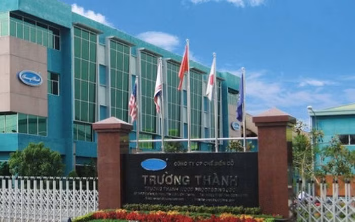 Công ty CP Tập đoàn Kỹ nghệ gỗ Trường Thành bị chuyển từ lãi 11 tỷ đồng sang lỗ ròng tới 134 tỷ đồng sau khi kiểm toán. Công ty CP Tập đoàn Kỹ nghệ gỗ Trường Thành bị chuyển từ lãi 11 tỷ đồng sang lỗ ròng tới 134 tỷ đồng sau khi kiểm toán.
