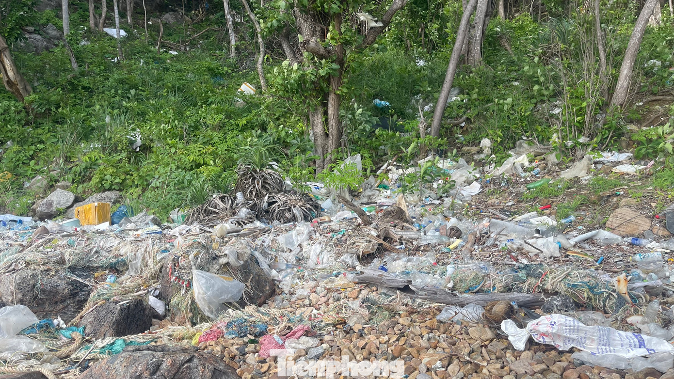 Không chỉ rác thải dưới rạn san hô, rác thải đại dương tấp vào các bãi cát, rừng ngập mặn ở Côn Đảo.